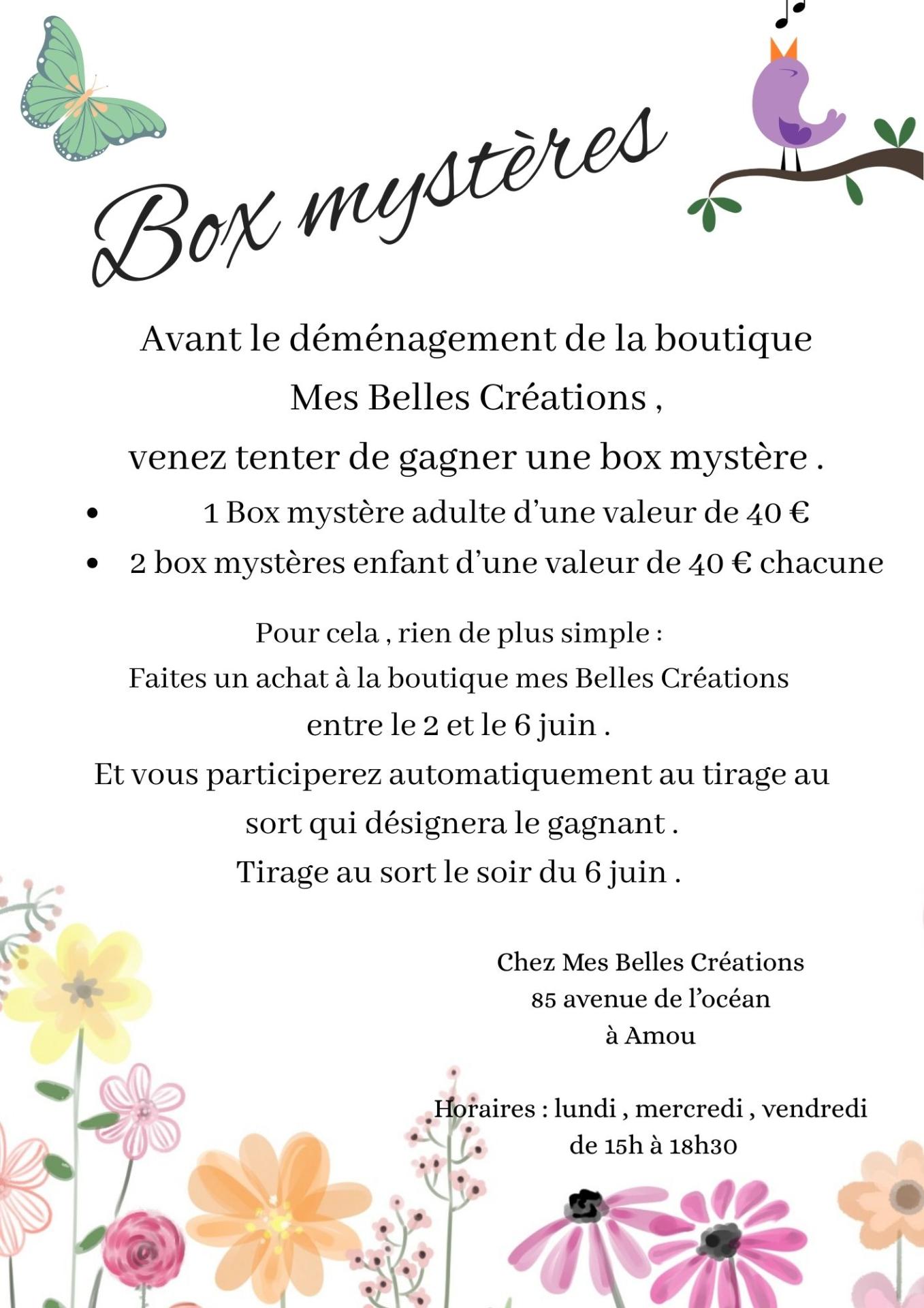 Box mystere
