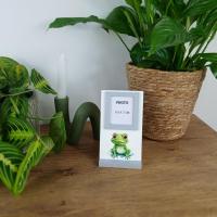 Cadre photo grenouille 2