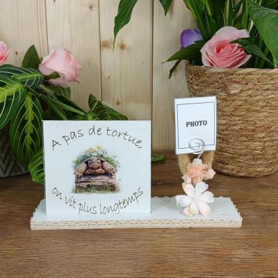 Deco photo grenouille 2