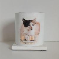 Pot a crayons chaton 2